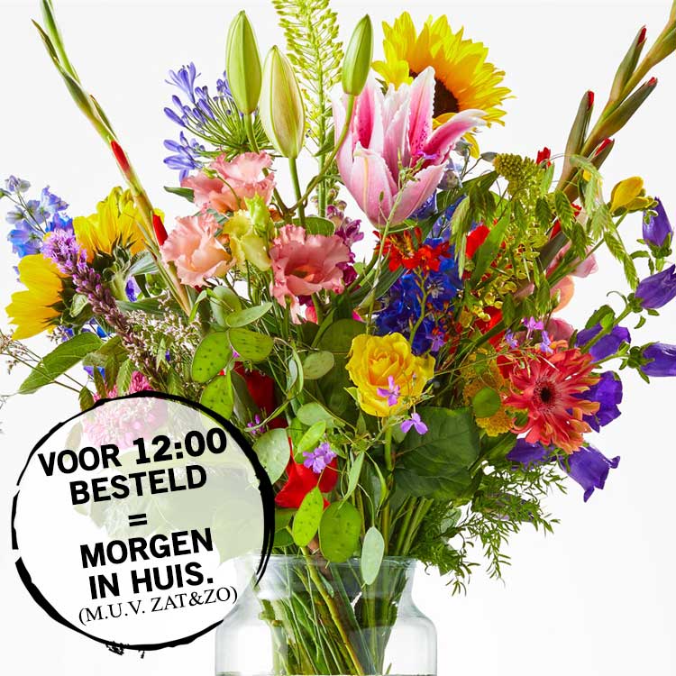 onwettig Drijvende kracht String string Bloeiend - Planten en Bloemen Bestellen en Bezorgen