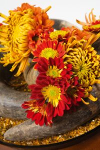 chrysant - Herfstbloemen