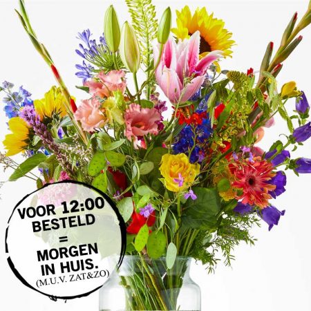 Bloeiend - Planten en Bestellen en Bezorgen