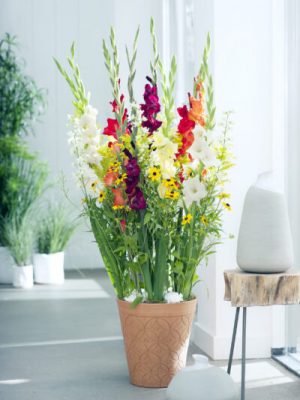 verse bloemen voor jouw moment